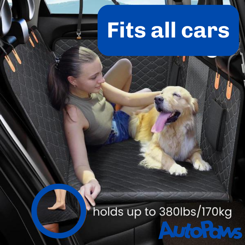 Housse de siège à fond rigide - 50 % de réduction pour le Black Friday à durée limitée