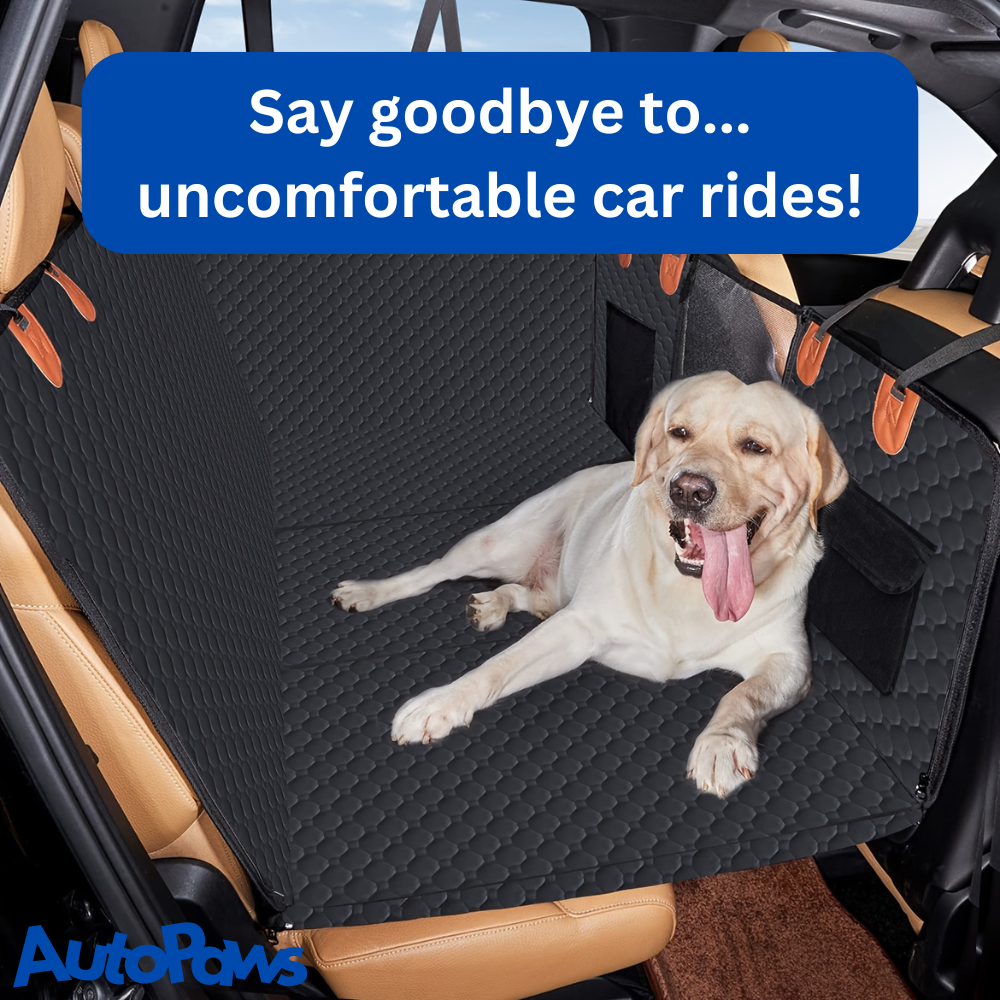 Hamac pour chien à fond dur