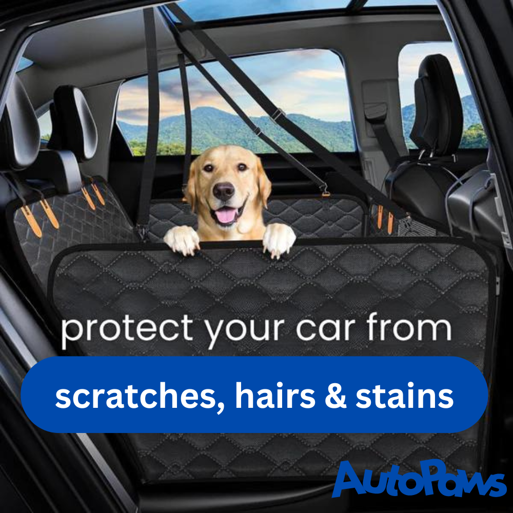 Hamac pour chien à fond dur