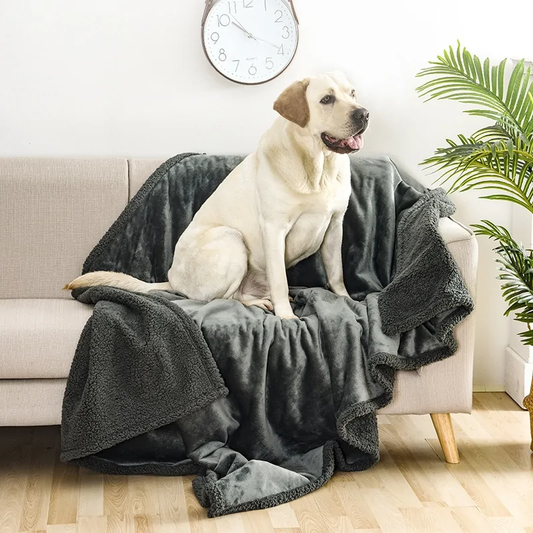 Waterproof Dog Blanket